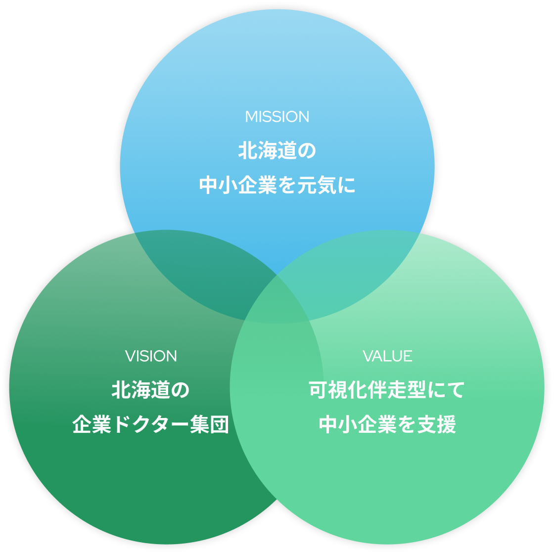 MISSION：北海道の中小企業を元気に、VISION：北海道の企業ドクター集団、VALUE：可視化伴走型にて中小企業支援